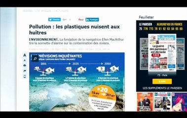 Pollution: les plastiques nuisent aux huîtres