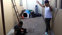 Peleas borrachos pandilleros 2022 | 2022 drunken gang fights