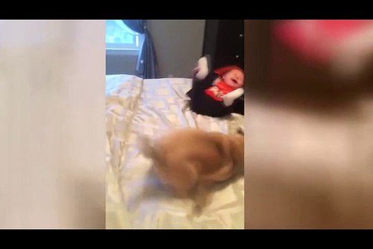 Köpekle Bebeğin Oyunu Tıklanma Rekorları Kırıyor