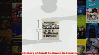 Download PDF  A History of Small Business in America FULL FREE