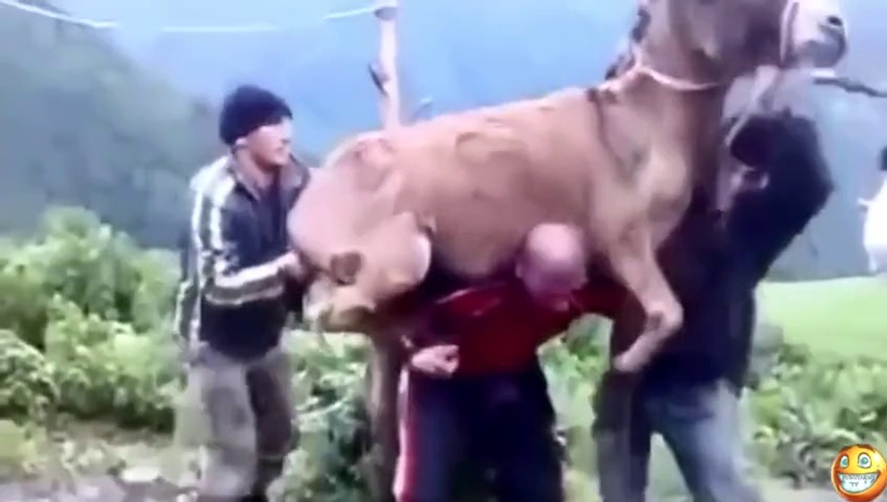 Funny Videos - Fail Compilation
