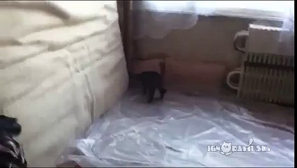 Хозяйка, я застелил!