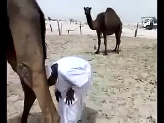 Я ВООБЩЕ ПРОСТО ОРАЛ!!!