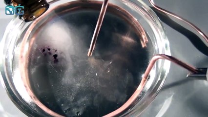 Вращение жидкости от электричества - физические опыты