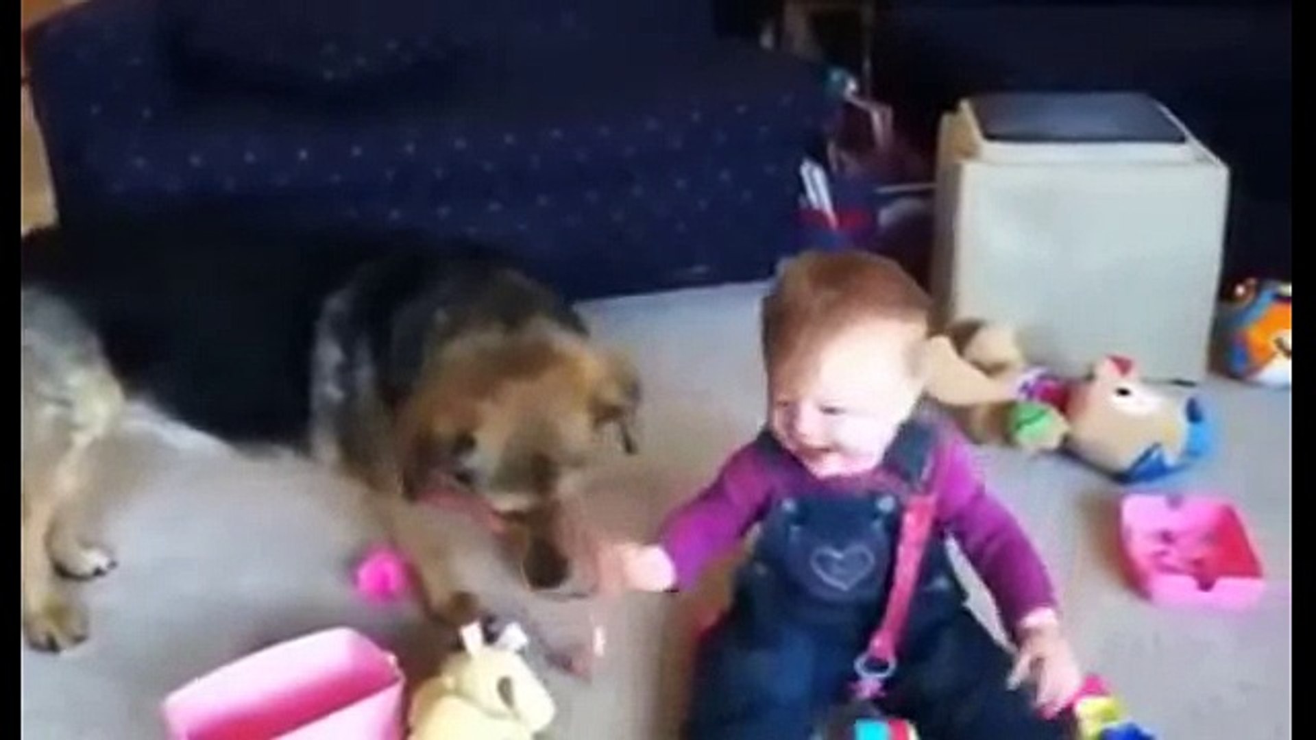 Pets and our children Домашние животные и наши дети