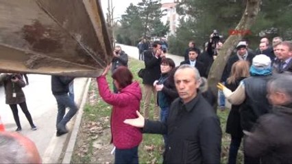 Kocaeli Ağaçların Etrafından Dallarına Çıkarak Sökülmesine Engel Olmak İstedi