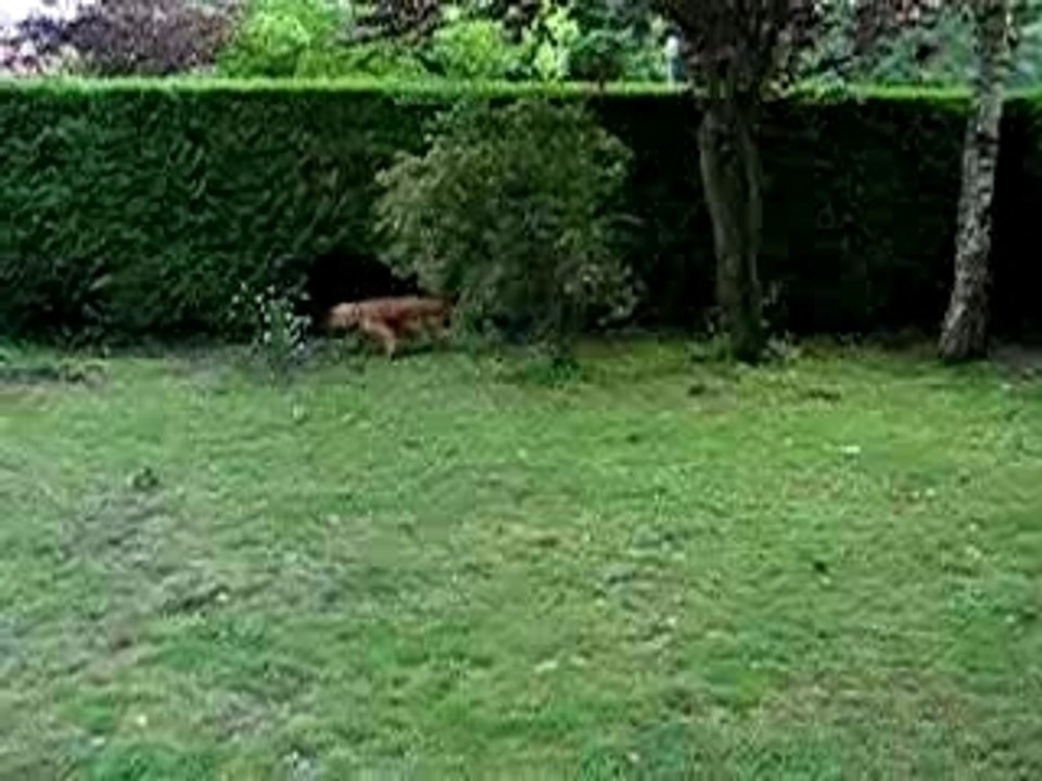 il est où Didier
