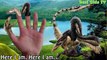 Finger Family Dinosaurs Collection - T-Rex, Velociraptors and others Dinosaurs Compilation