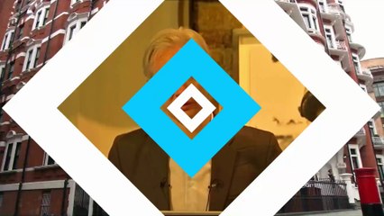 Julian Assange should be allowed to go free, UN panel finds