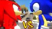 Sonic VS Knuckles the Echidna