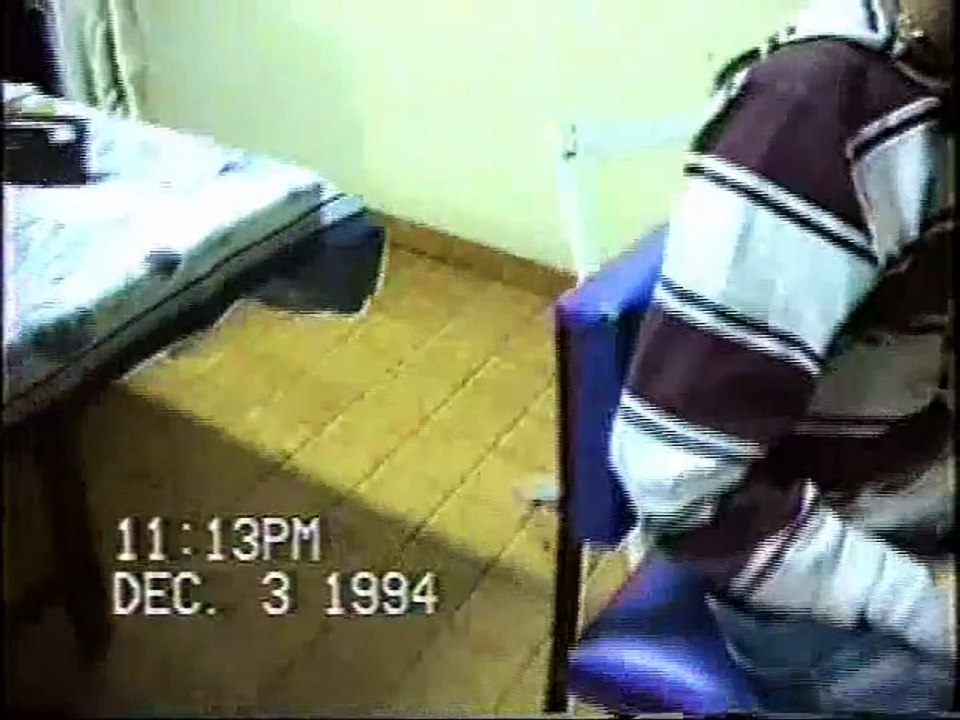 1994 parties