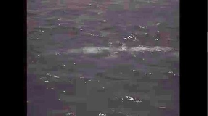 온라인라이브바카라☎~ KOP77,COM ~♧토토스포츠베팅ª피나클 주소