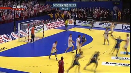 Handball : Daniel Narcisse sacré meilleur joueur du monde en 2012, Cocorico