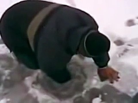 Вот это улов!