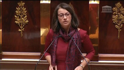 Cécile Duflot : "Ni l'état d'urgence, ni la déchéance de nationalité ne requièrent de révision constitutionnelle"