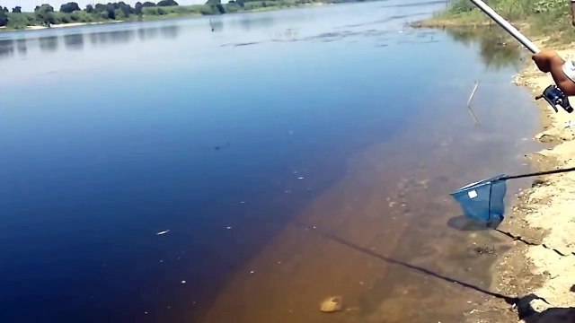 Давай давай тащи