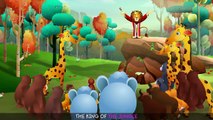 Finger Family Lion - ChuChu TV Animal Finger Family Songs & Nursery Rhymes For Children