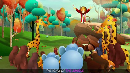 Finger Family Lion - ChuChu TV Animal Finger Family Songs & Nursery Rhymes For Children