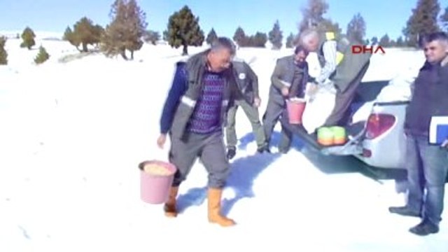 Erdemli Yaban Hayvanları İçin Doğaya Yem Bırakıldı