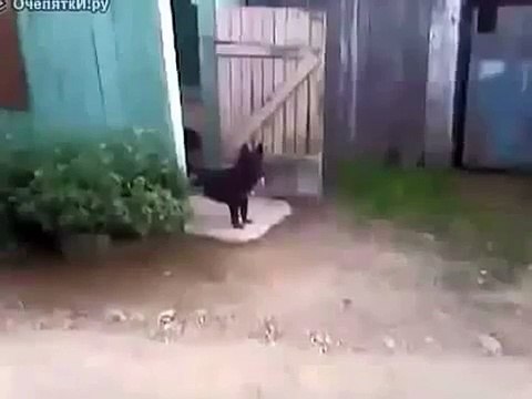 ДосТАла Блин ЭТа долбАнаЯ ДВерь!