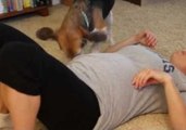 Genius Dog Discovers His Owner Is Pregnant