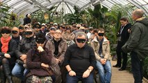 Cinéma pour l'oreille au jardin des plantes