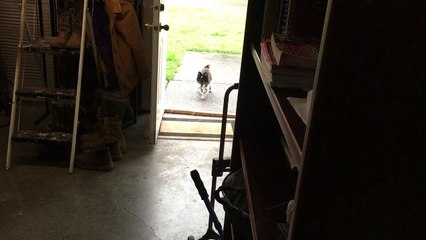 repost with mira fuck yeah