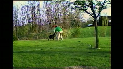 Dog Chases Man With Water Hose