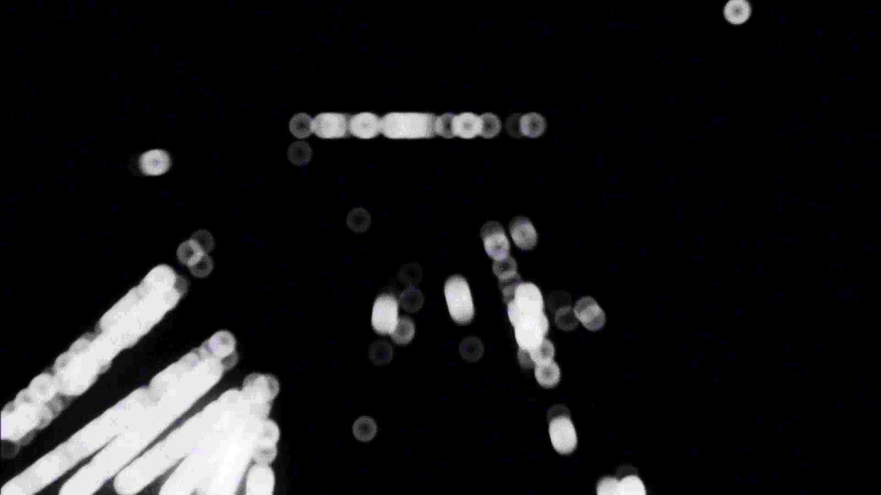 ⊺ TMPL ⊺ TRAILER MURA MASA @ CAFE DE LA DANSE 15.04.16 ⊺