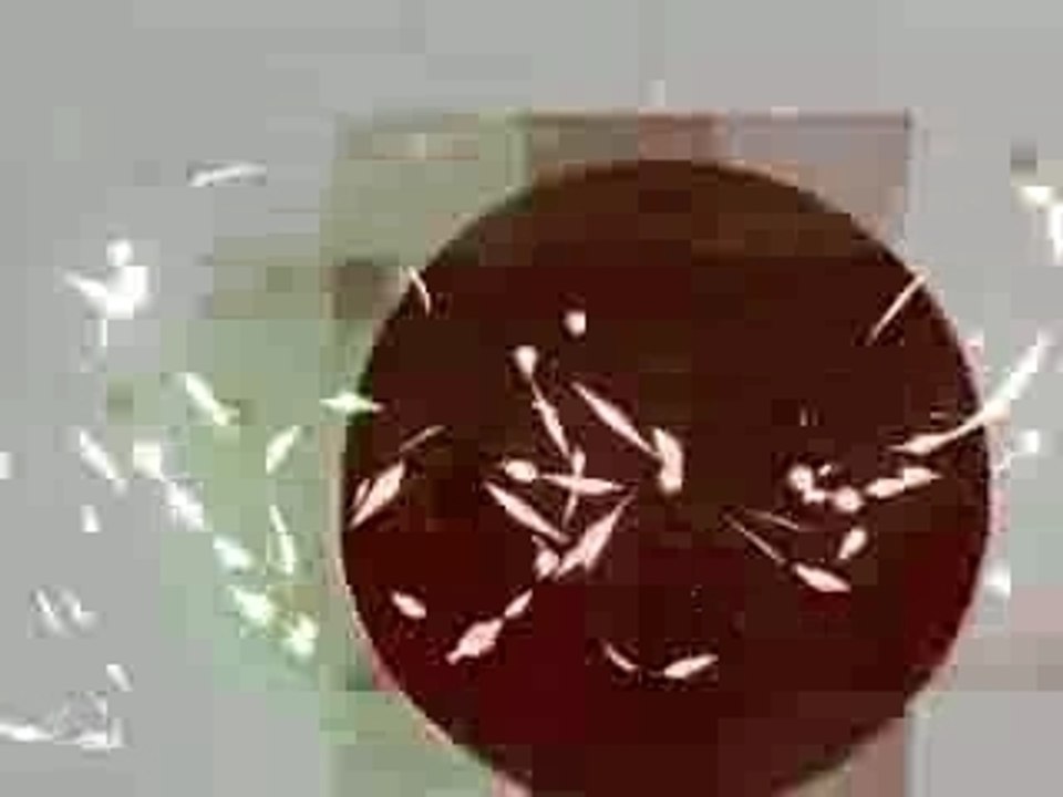 Vj2