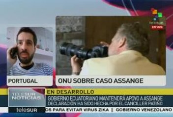 Amaral: fallo de ONU sobre Assange, importante para libertad de prensa