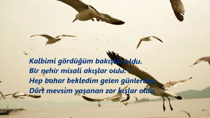 Alper Şirvan Şiiri - Bendedir (Kayıt 05.02.2016)