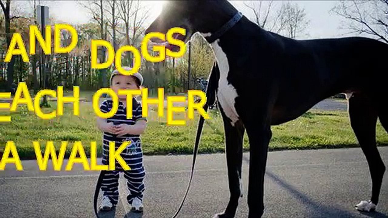 Babies and dogs take each other for a walk
