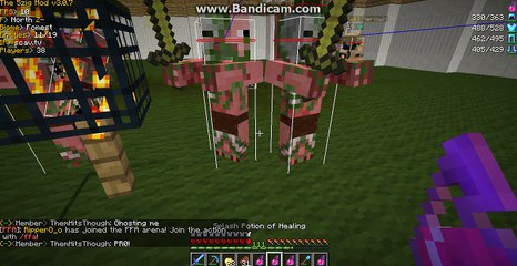 splash potions not hurting zombie pigmen