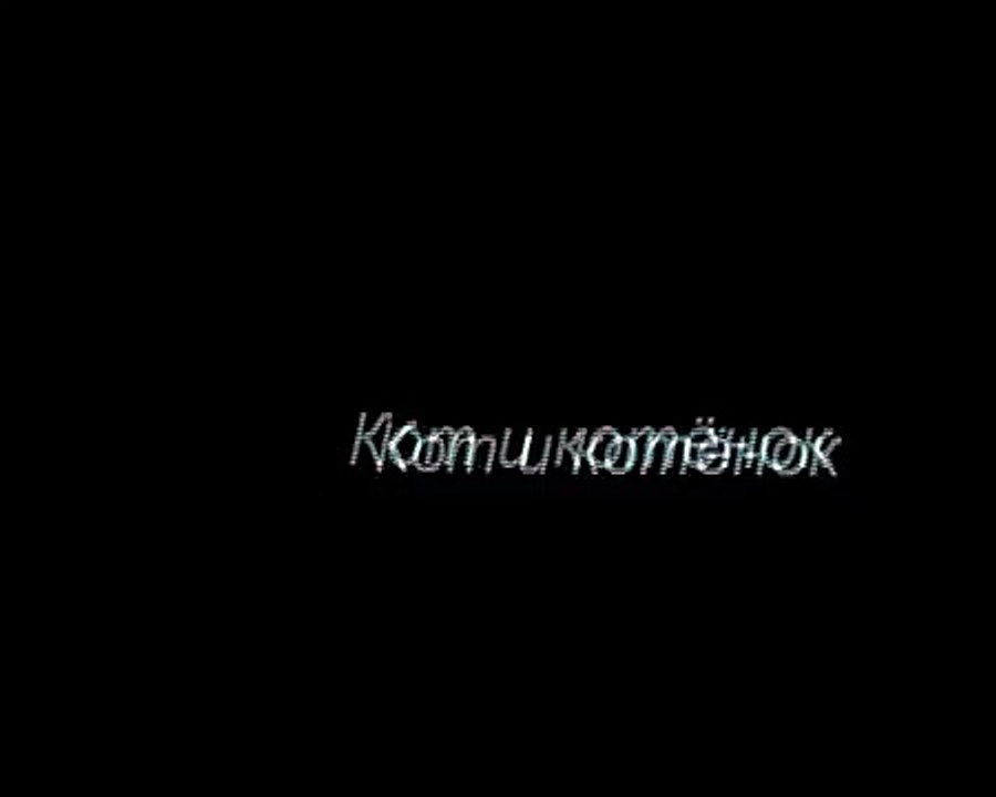КОТ и котёнок!