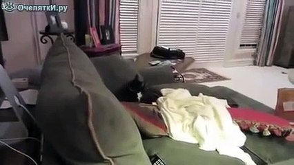 КОТЭ VS ЕНОТ!