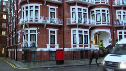 Un comité de l'ONU demande la liberté pour Julien Assange