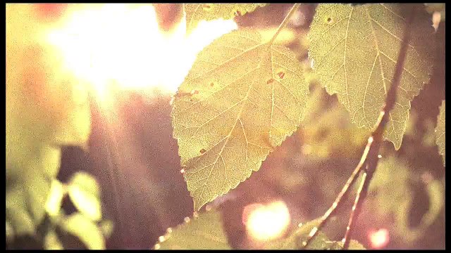 Kalamity Trailer (2010)