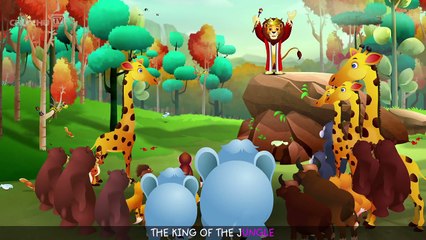 Finger Family Nursery Rhymes - Animal Finger Family Songs Collection - Learn Wild Animals - ChuChuTV