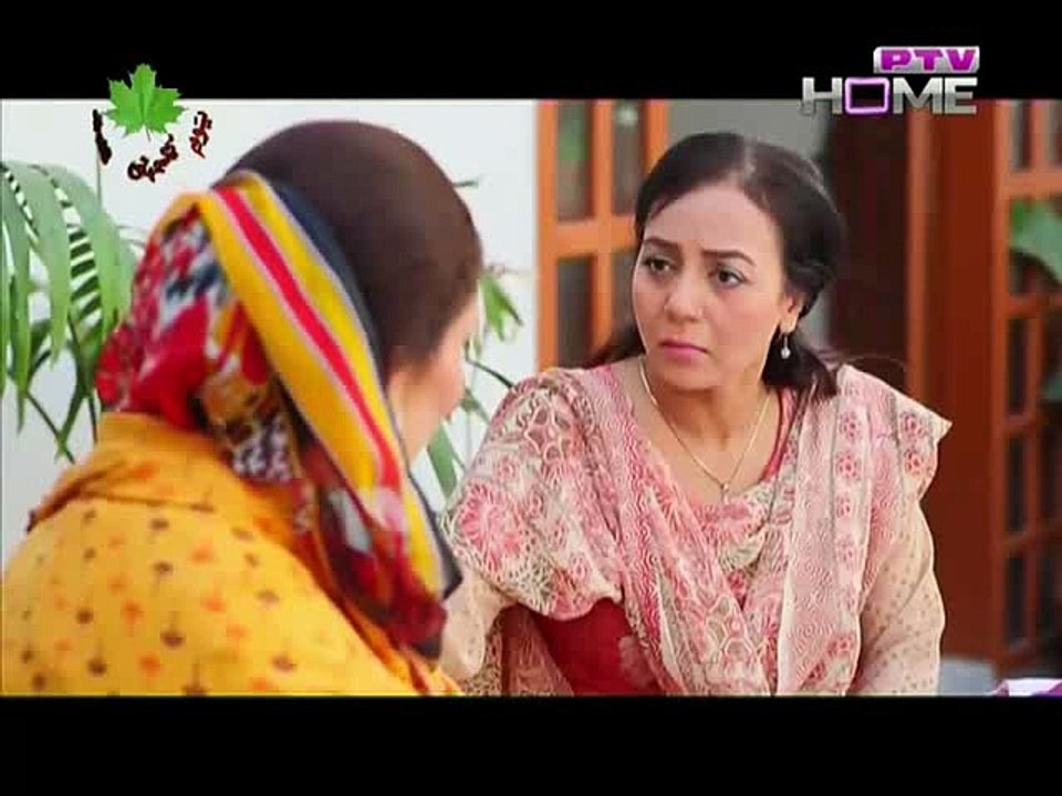 Wajood-e-Zan Episode 48 on Ptv Home