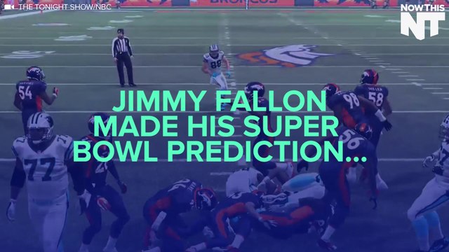 These Ridiculously Cute Puppies Just Predicted Who Will Win The Super Bowl