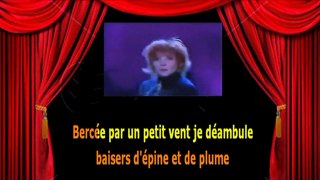Karaoké Mylène Farmer - Libertine