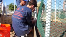 Watch: Major Leaguers and Action Team Teens Spruce Up Blue Butterfly Village | Major League Baseball