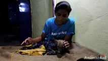 Puppy rescued covered in tar, watch her happy ending!