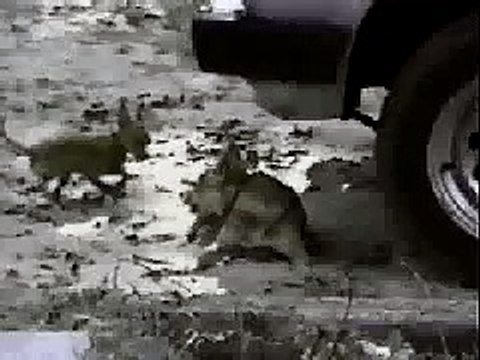 Прикол. Зачем обежать младших - так тебе застранец))) Funny. Why run around younger-