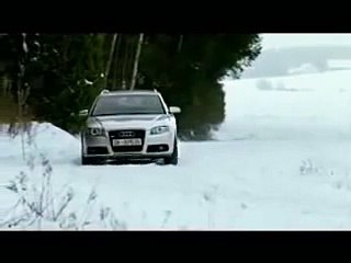 Реклама собака