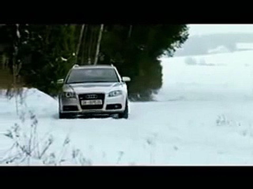 Реклама собака
