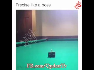 Nice amazing Snooker paling