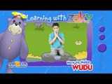 How to make Wudu (Ablution) | Learning with Zaky