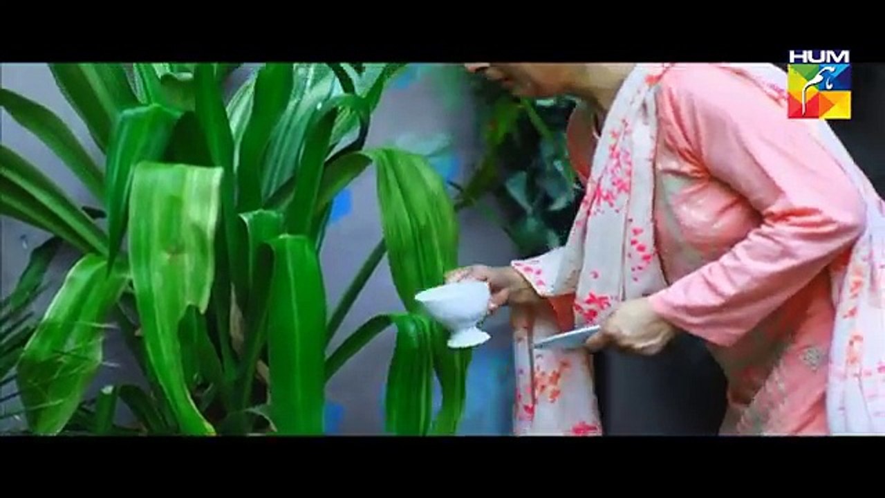 SehraMainSafar episode 7 full episode